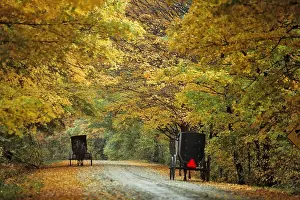 Wagon Prints: TWO AMISH BUGGIES ON AUTUMN COUNTRY LANE LANCASTER COUNTY PENNSYLVANIA USA