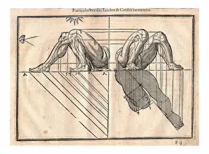 Anatomical Prints: Anatomical drawing by Jehan Cousin ('le jeune)