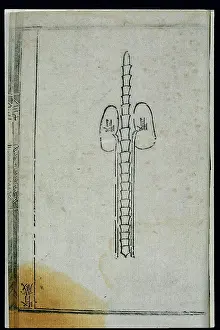 Chinese Prints: Anatomy of the kidney in ancient Chinese medicine, woodcut