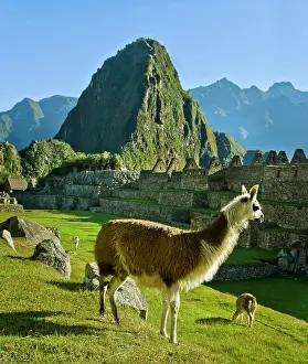 Stonework Prints: Ancient Machu Picchu, last refuge of the vanished Inca civilization in the Andes Mountains