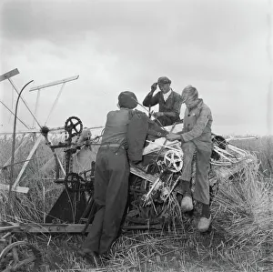 Soldiers Prints: Anefo photo collection. Agriculture: Canadians