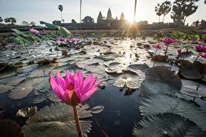 Lindblad Prints: Angkor Wat Cambodia LEX Lotus Max Seigal Mekong River