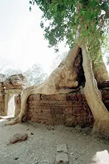 Low Angle Prints: Angkor Wat, Siem Reap, Cambodia