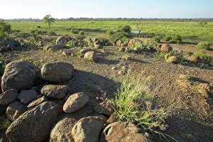Swamp Prints: Anglo/Boer War forifications near the South Africa/Botswana border