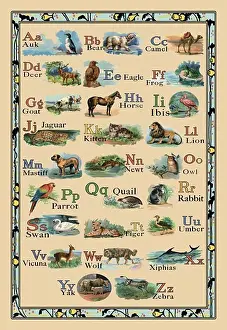 Toddler Prints: Animal Alphabet, Animal Alphabet