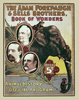 Money Prints: animal history