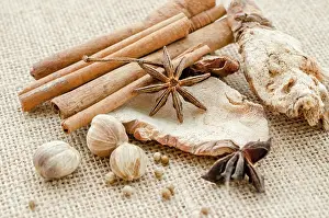 Culinary Prints: Anise, cardamom, nutmeg and cinnamon sticks