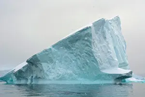 Snowing Prints: Antarctica. Charlotte Bay. Iceberg