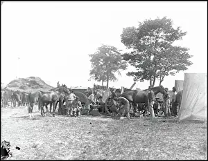1861 1865 Prints: Antietam, Md. Blacksmith shoeing horses at headquarters