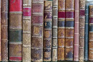 Written Prints: Antiquarian bookshop on the shelf
