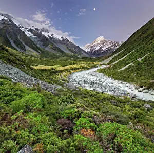 Vegetation Prints: Aoraki, Hooker River, Mount Cook National Park, Canterbury, south Island, New Zealand