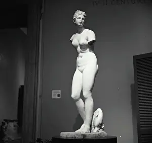 Breast Prints: Aphrodite Greek Art