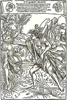 Rosy Prints: Apollo, in Greek and Roman mythology the god of light