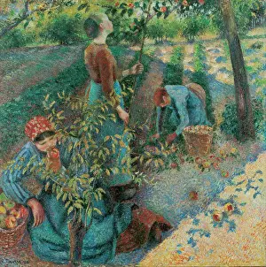 1886 Prints: Apple Picking, Pissarro, Camille (1830-1903)
