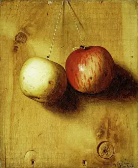 Contrast Prints: Two Apples. Stanley S. David. Oil on canvas 30.7 x 25.7cm