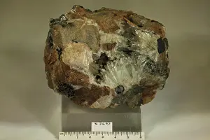 Mineral Prints: Aragonite. minerals. North America; USA; Missouri; Madison County; Mine La Motte