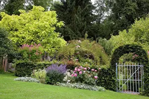 Entrances Prints: Arch of hornbeam at the entrance of a garden