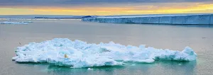 Composite Image Prints: Arctic Arctic Ocean Climate Change Lindblad Expeditions