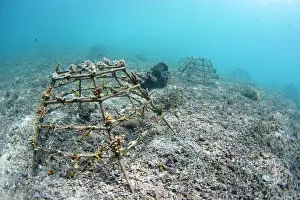 New Life Prints: Artificial coral reef frames for coral recolonisation