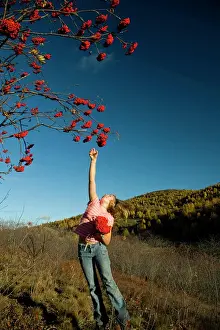 Jumping Prints: Artist's Choice: Young Girl Jumping To Reach Mountain Ash Berries On A Tree In Autumn