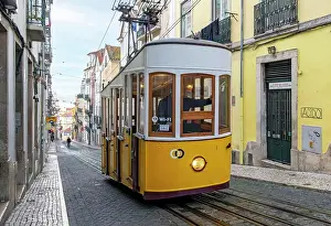 Tram Prints: Ascensor da Bica Funicular, Lisbon, Portugal