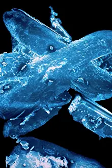Microscopy Prints: Aspirin. SEM (Scanning Electron Microscope) of cristals of acetylsalicylic acid (aspirin)