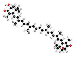 Pigment Prints: Astaxanthin pigment molecule. Carotenoid responsible for the pink-red colour of salmon
