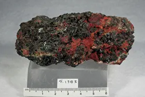 Mineral Prints: Atacamite. minerals. South America; Bolivia; Pando Department; Cobija; Tocopilla