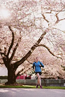 Woody Plant Prints: Athletic woman runs in city park in front of large cherry blossom