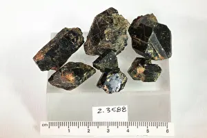 Mineral Prints: Augite. minerals. Europe; Italy; Brachiano or Bracciano