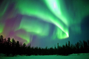 Optical Prints: Aurora borealis (northern lights), boreal forest, Yellowknife environs, NWT, Canada