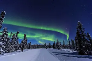 Northern Lights Prints: Aurora borealis, Northern Lights near Fairbanks, Alaska