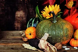 Laying Prints: Autumn composition ( pumpkins and corn on old wooden table). Thanksgiving day concept