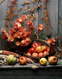 Harvests Prints: AUTUMN HARVEST STILL LIFE SQUASH AND FRUITS FLOWERS AND CORN AGAINST BARN WOOD