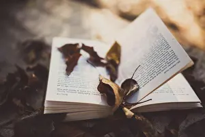 Student Prints: Autumn leaves on old book