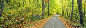 Color Photography Prints: Autumn, Macedonia Brook State Park, Connecticut