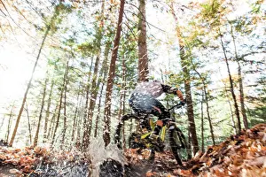 Biking Prints: Autumn mountain biking in the WHite Mountains of New Hampshire