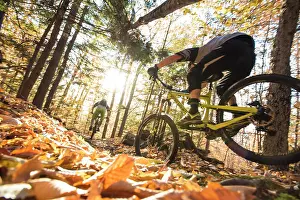 Biking Prints: Autumn mountain biking in the WHite Mountains of New Hampshire