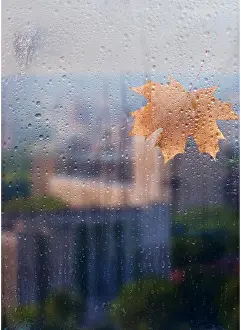 Weather Prints: Autumn, rainy city through a window with raindrops