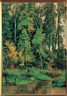 Oil On Canvas Prints: Towards the Autumn, by Siskin Ivan Ivanovic