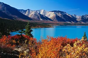 Rugged Prints: Autumn at the Upper Twin Lake shore on Hope Creek's delta