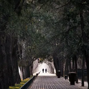Strolling Prints: Avenue