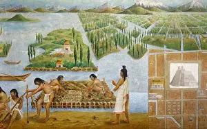Floating Prints: Aztec building and the Chinampas system