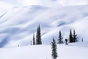 Backcountry Prints: Two backcountry skiers ascending (skinning) up among large peaks
