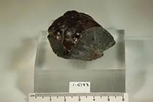 Mineral Prints: Baddeleyite. minerals. South America; Brazil; Minas Gerais State; Pocos de Caldas