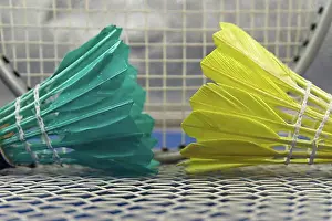 Pink Prints: Badminton feather shuttlecocks in green and yellow with badminton racket in a close up view