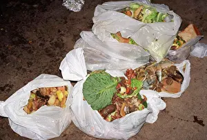 England Prints: Bags of kitchen waste for anaerobic digestion