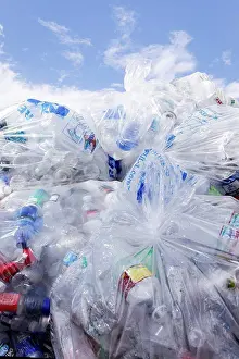 Large Group Prints: Bags of plastic bottles