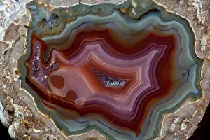 Natural Pattern Prints: Baker Egg Agate, New Mexico