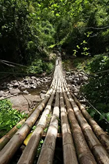 Caribbean Prints: Bamboo bridge at Dark View Falls, St